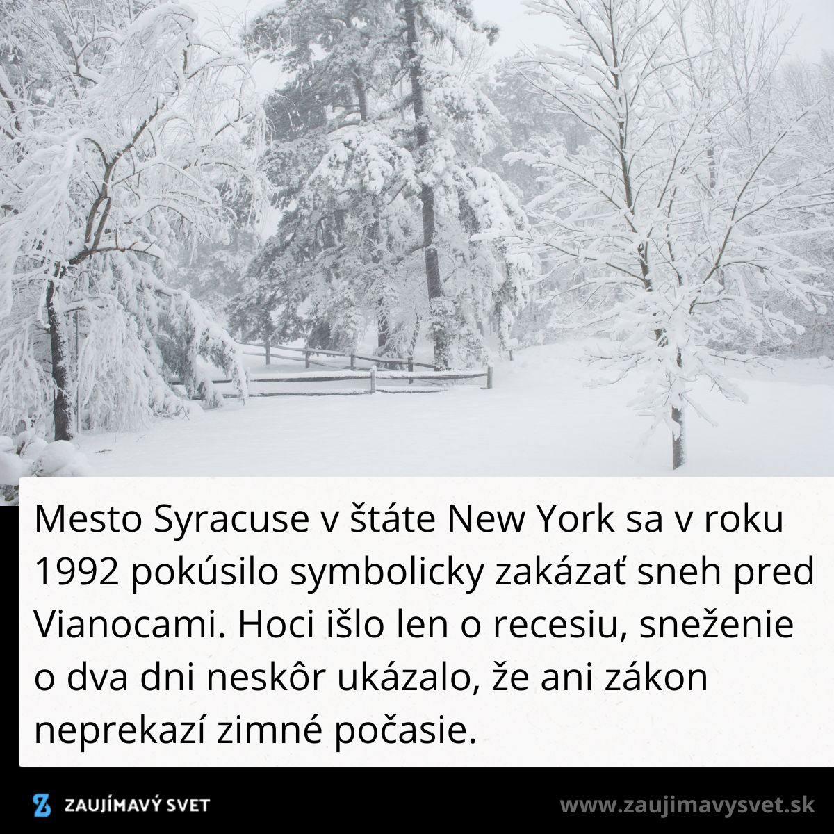 Zasnežená krajina v meste Syracuse, New York, obalená bielym závojom zimy, rok 1992.