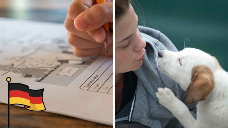 Povinný test predtým, než si budete môcť zaobstarať psa? Geniálny nápad plný výhod.