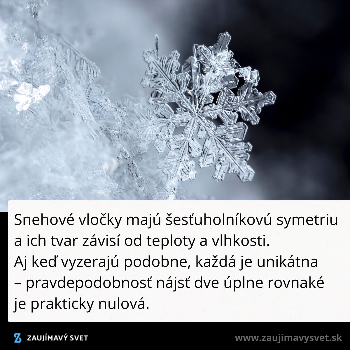 Snehová vločka so zložitou šesťuholníkovou štruktúrou na tmavom pozadí.