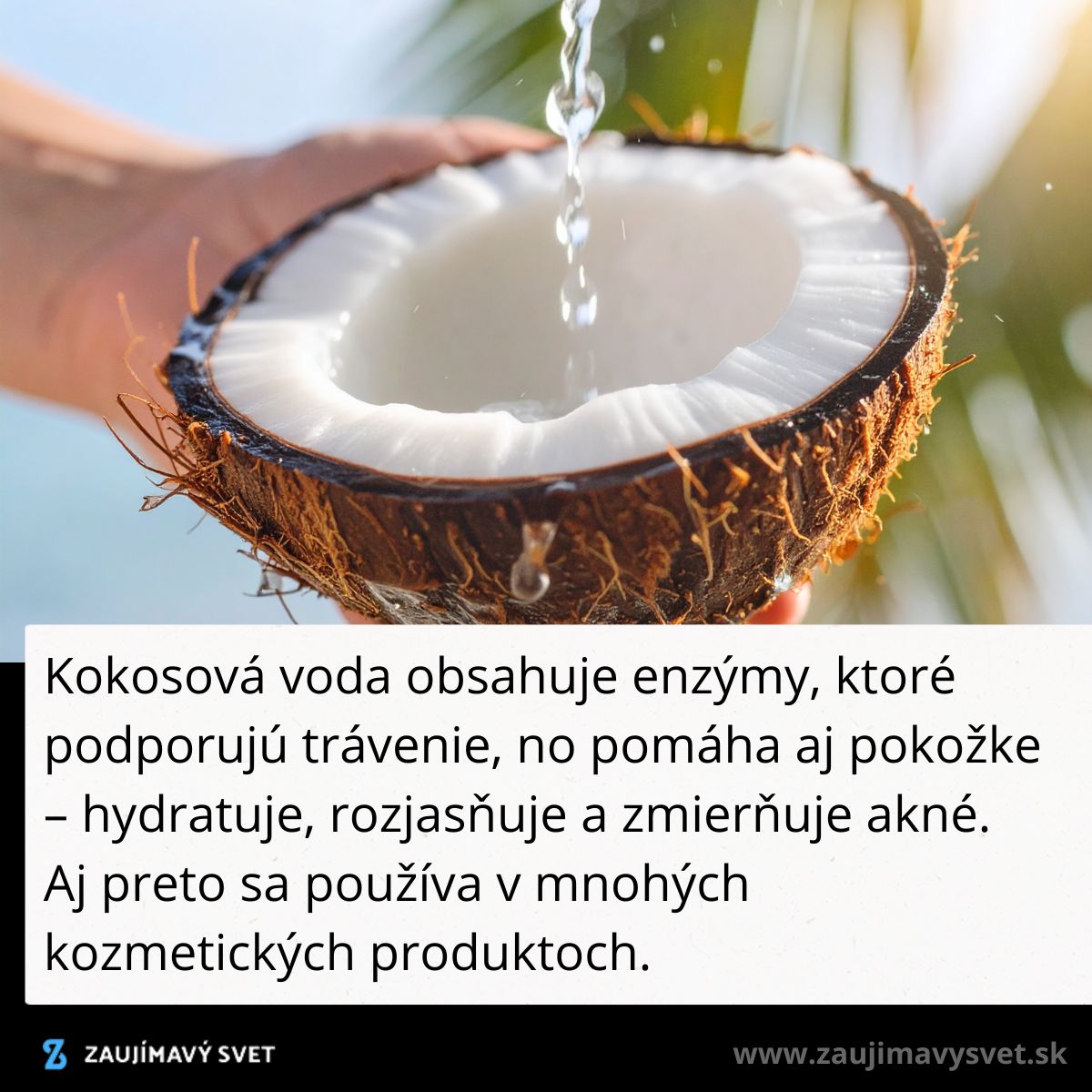 Kokosová voda sa leje do čerstvého kokosu, podporuje trávenie a hydratuje pokožku.