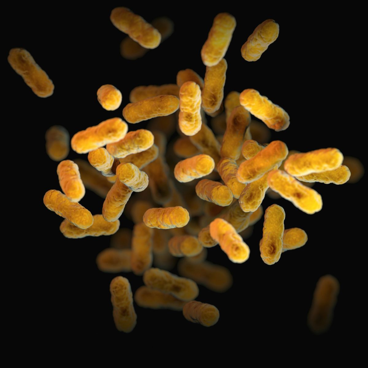 Oranžové baktérie na čiernom pozadí v detailnom zábere, znázorňujúce biologické procesy.