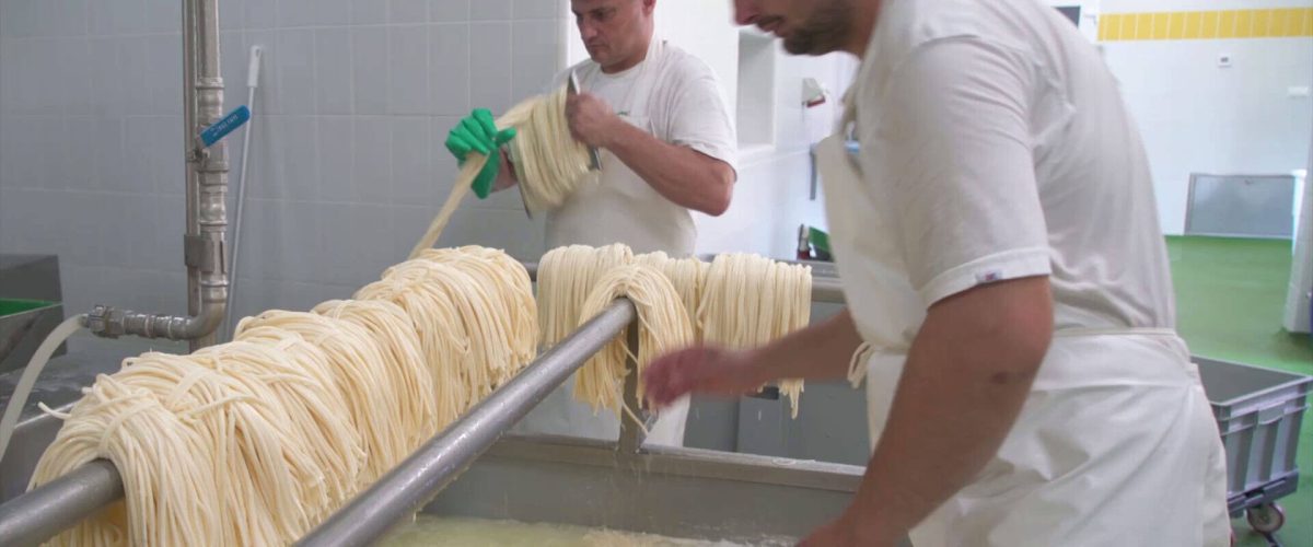 Pracovníci v dielni pripravujú syr, ktorý visí na kovovej rúrke, pričom dodržujú hygienické normy.