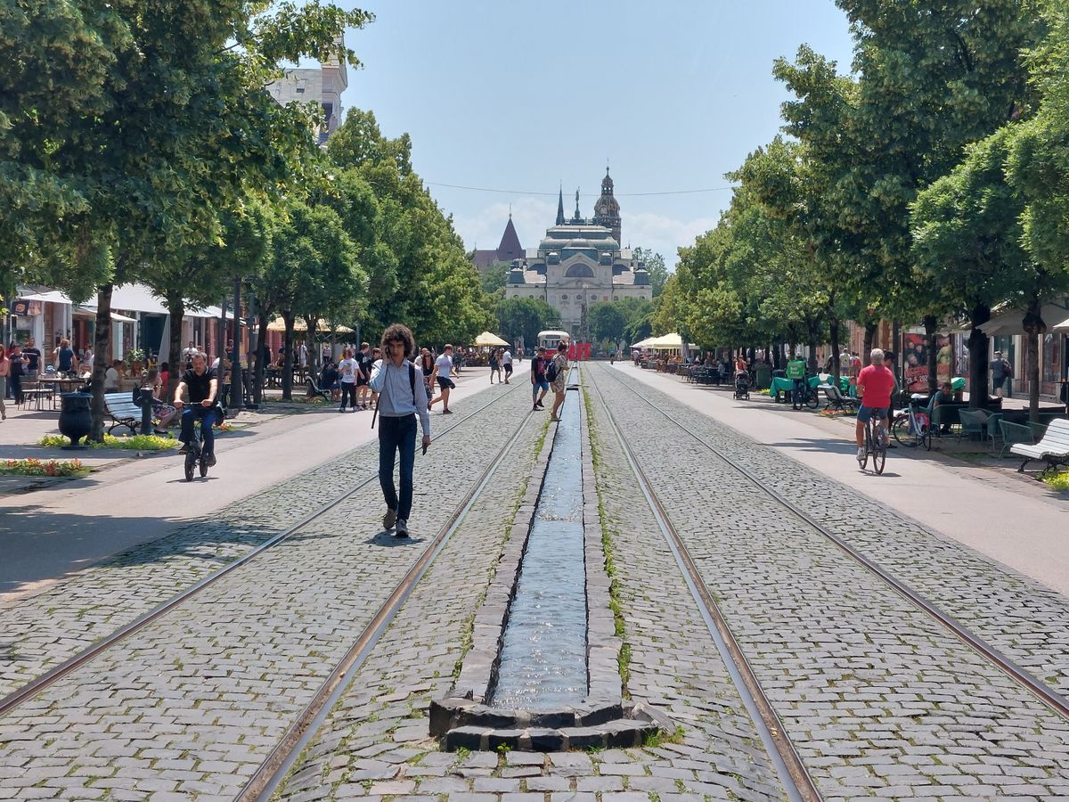 Hlavná ulica v Košiciach, lemovaná stromami a historickou architektúrou, cez ktorú vedie električková trať.