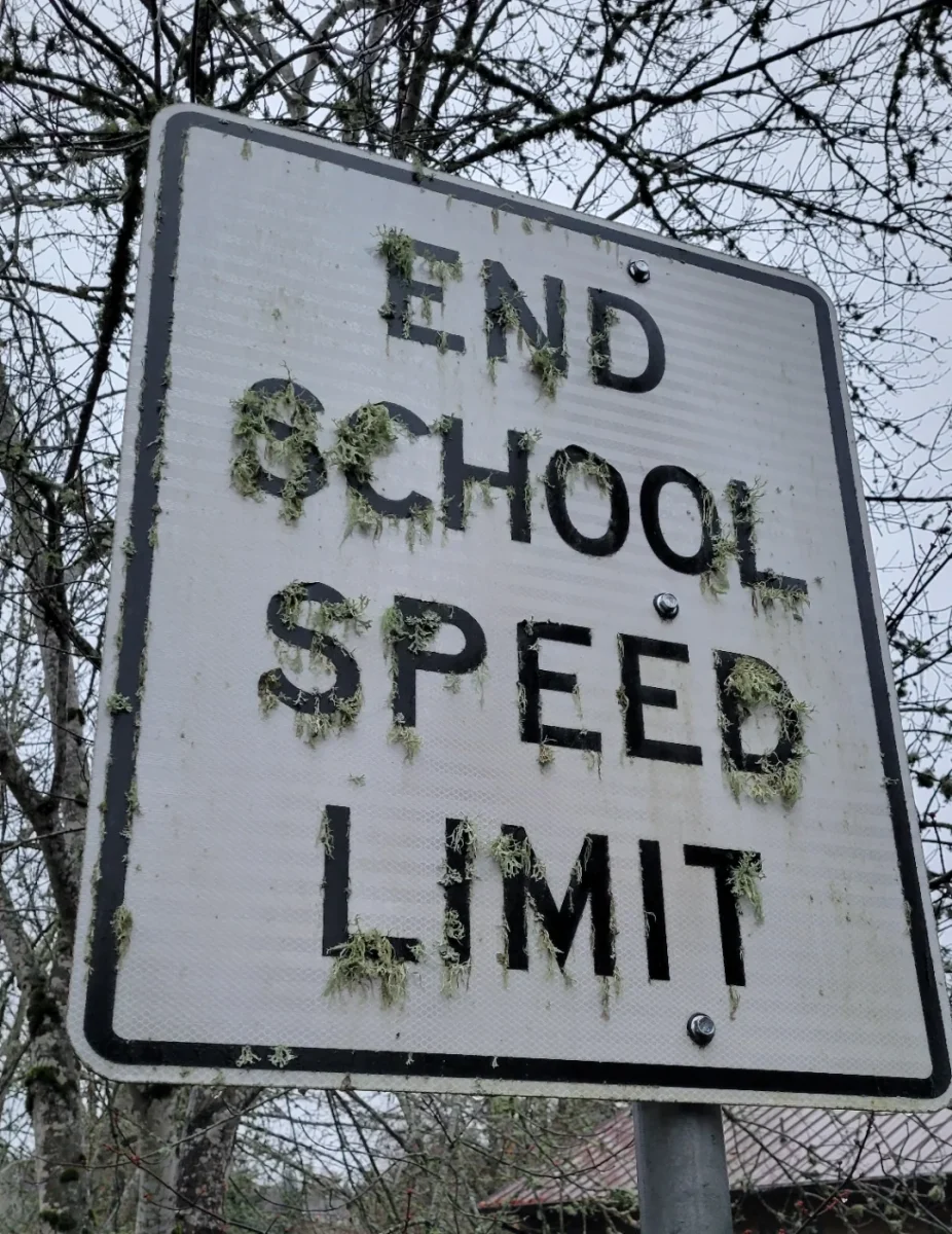 Dopravná značka s nápisom END SCHOOL SPEED LIMIT pokrytá lišajníkmi v prírodnom prostredí.