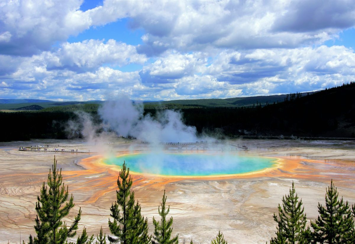 Gejzír v Yellowstone, sýto farebná krajina s parou a horizontom lesa pod modrou oblohou.