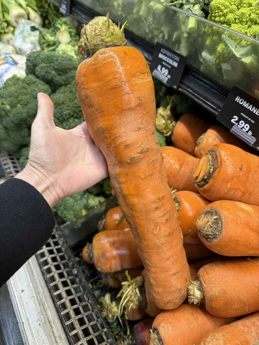 Veľká mrkva v ruke na trhu s čerstvou zeleninou. Brokolica a romanesco v pozadí.