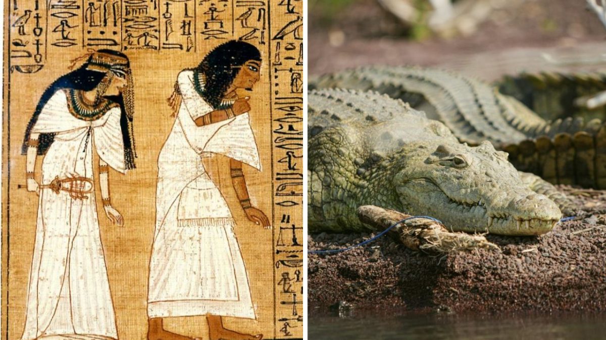 Staroveký egyptský nástenný obraz a ležiaci krokodíl na zemi pri vode.