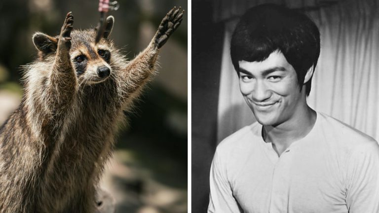 Mýval s povznesenými labkami a muž s úsmevom, čiernobiela fotografia.