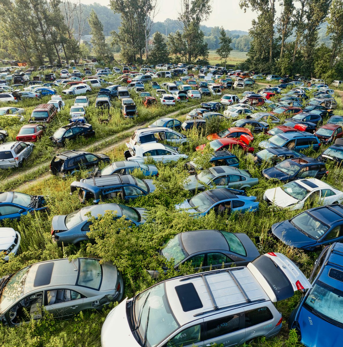 Opustené autá na zarastenom vrakovisku obklopené prírodou a zeleňou.