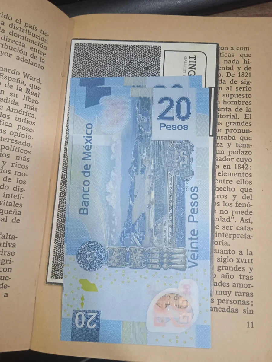 Bankovka 20 mexických pesos použitá ako záložka vo vnútri otvorenej knihy.