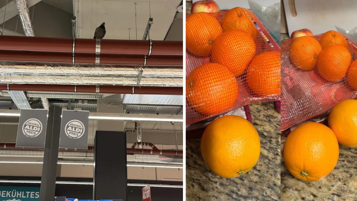 Obrázok supermarketu a čerstvých pomarančov v sieťke, pripravených na nákup.