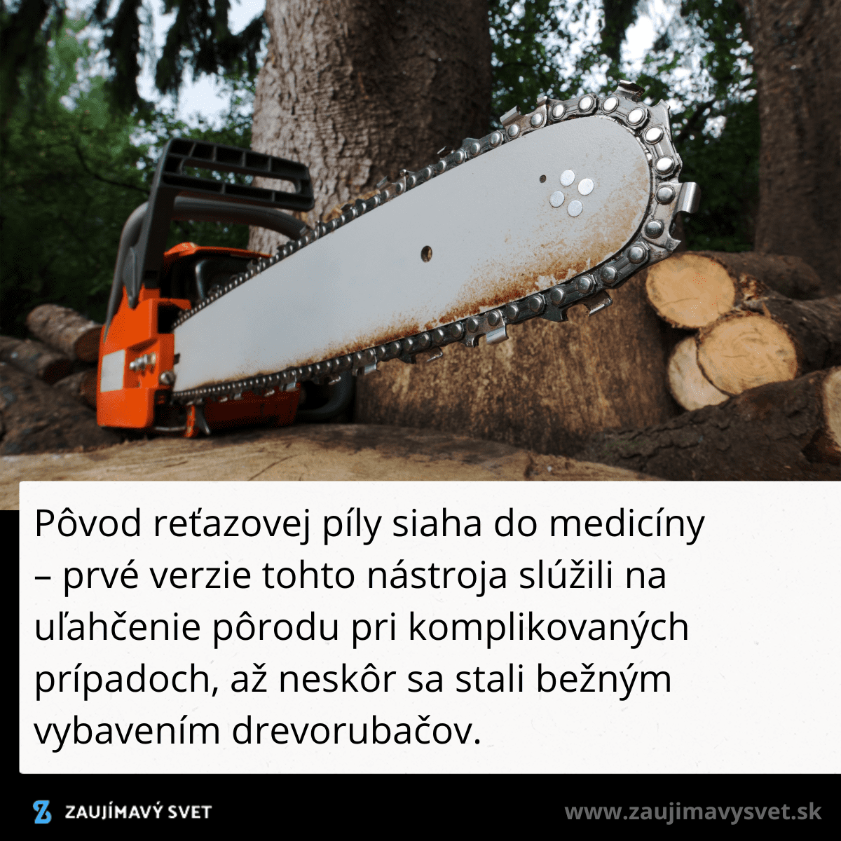 Reťazová píla na klátikoch dreva, symbol modernej drevorubačskej techniky s historickým medicínskym pôvodom.
