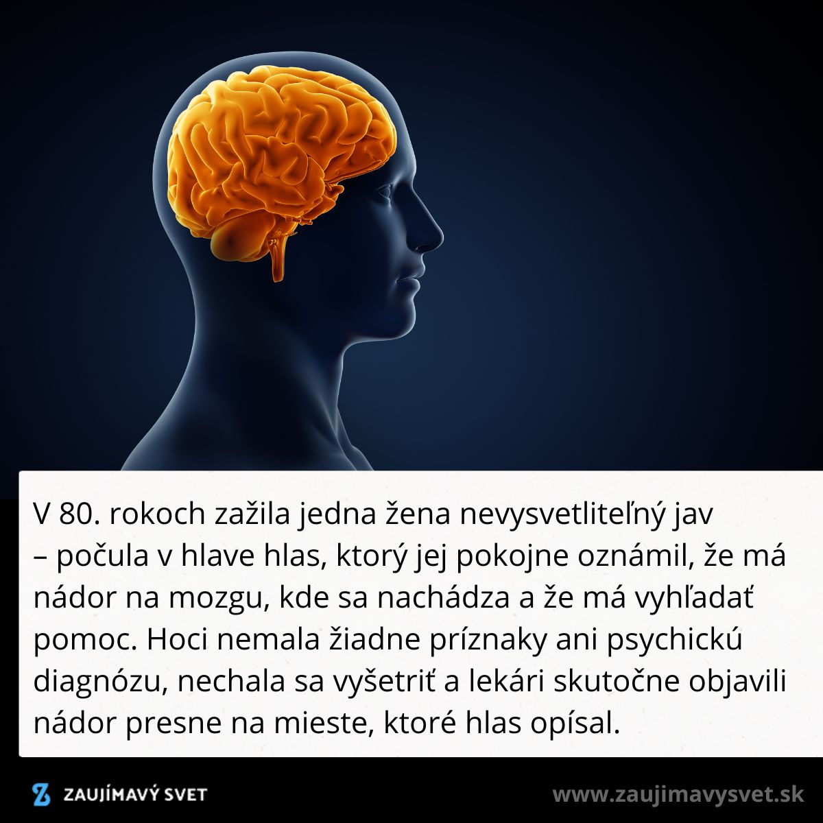 Ilustrácia mozgu v profile človeka s príbehom o nevysvetliteľnej diagnóze nádorového ochorenia.