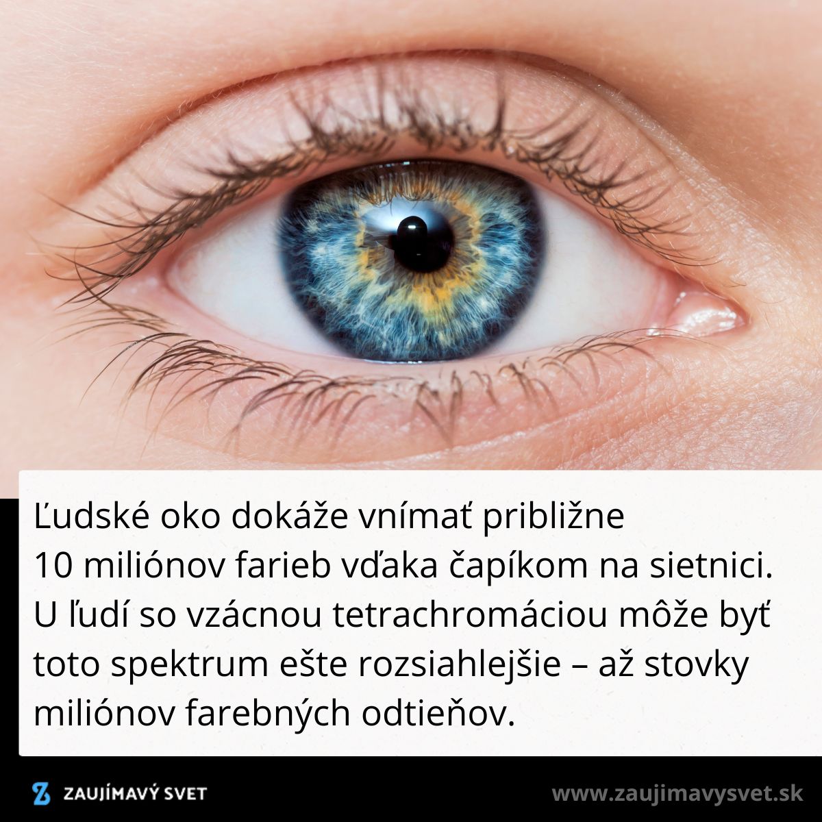 Detailný pohľad na oko s modrými a žltými odtieňmi dúhovky, text o schopnosti oka vnímať farby.