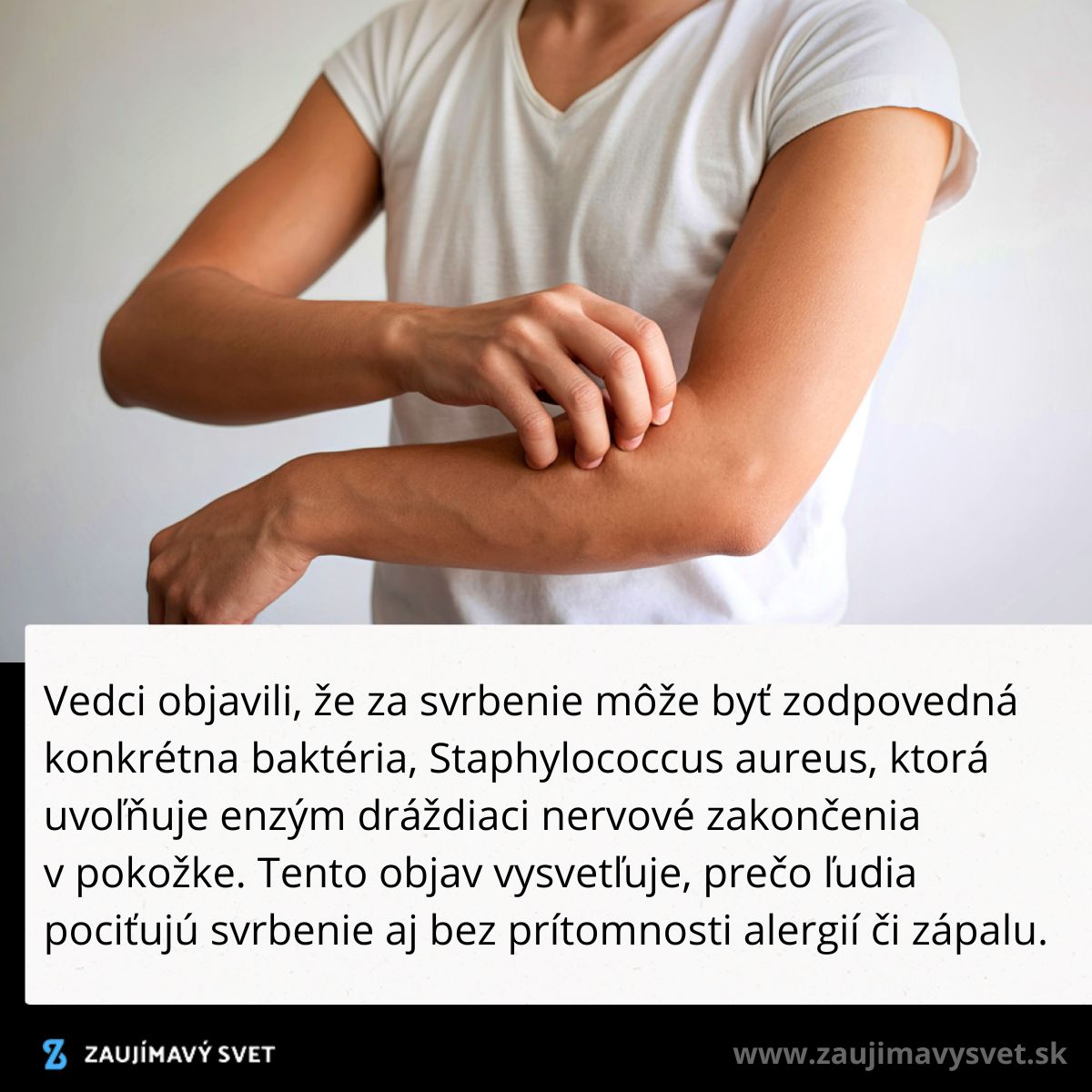 Osoba v bielej košeli si škriabe rameno, čo spája s objavom svrbivého enzýmu baktérie Staphylococcus aureus.