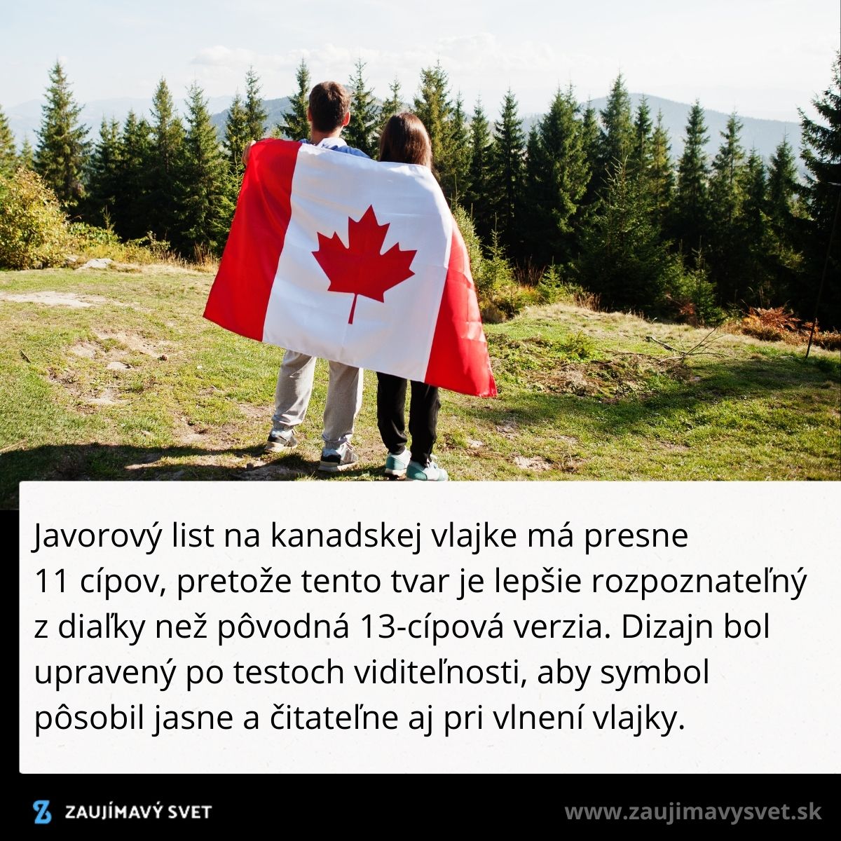 Pár zahalený v kanadskej vlajke stojí na lúke s výhľadom na hory a lesy.