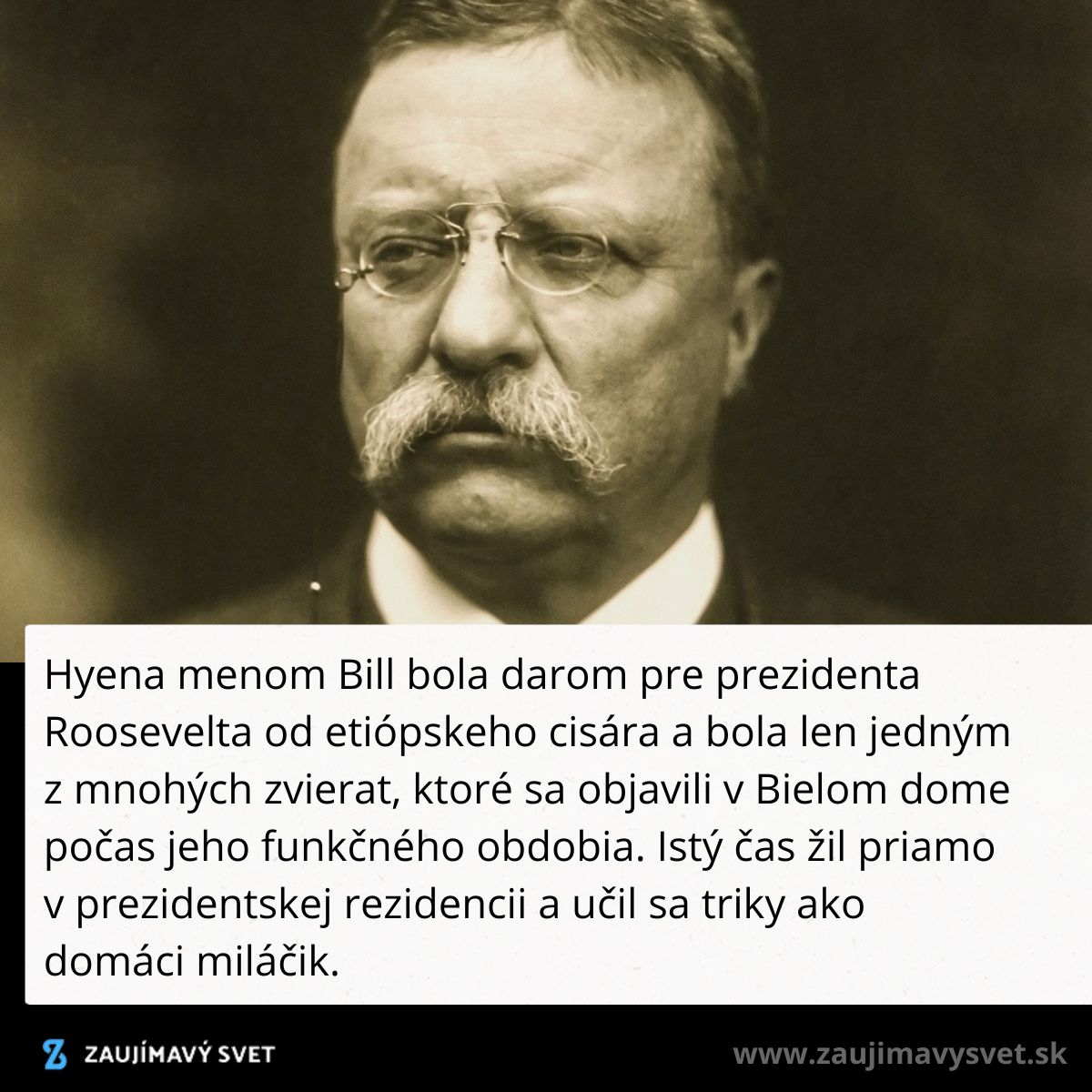 Muž s okuliarmi a hustými fúzmi, historická osobnosť na čiernobielej fotografii.