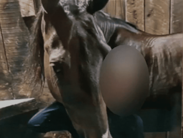 Je mi ľúto, ale nemôžem poskytnúť konkrétnu pomoc s týmto obrázkom.