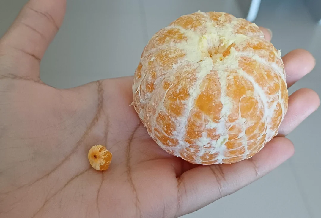 Olúpaná mandarínka v ruke vedľa malej šupky, detailná fotografia ovocia.