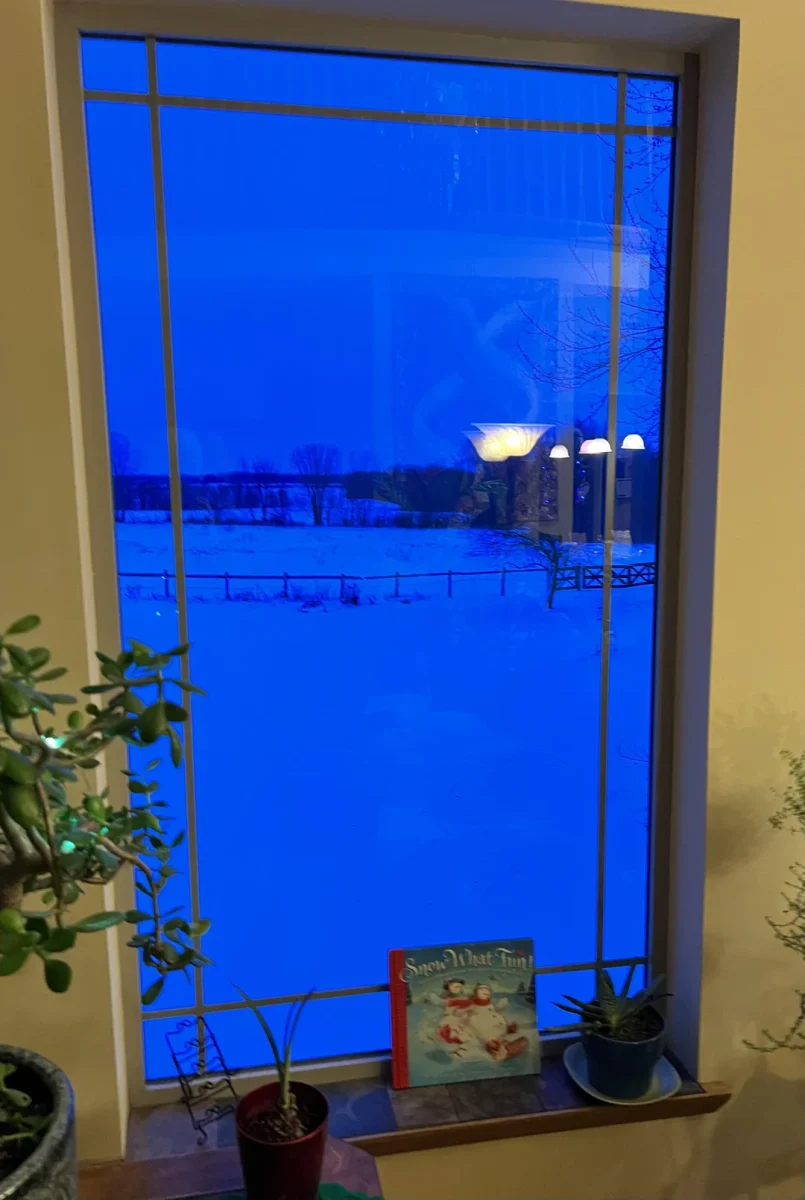Modrý zimný výhľad z okna s knihou a rastlinami na parapete.