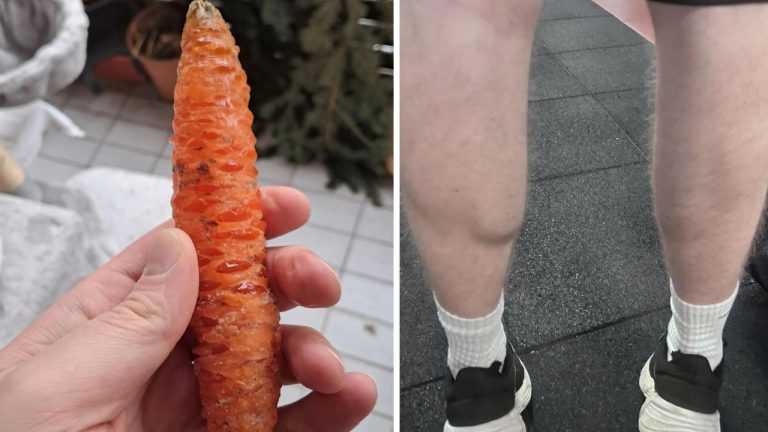 Ľavý obrázok - ošúpaná mrkva držiaca v ruke; pravý obrázok - lýtka osoby v telocvični.