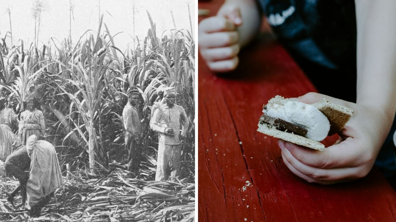 História pestovania cukrovej trstiny a moderné pochúťky. Kombinácia minulosti a súčasnosti v jednom obrázku.