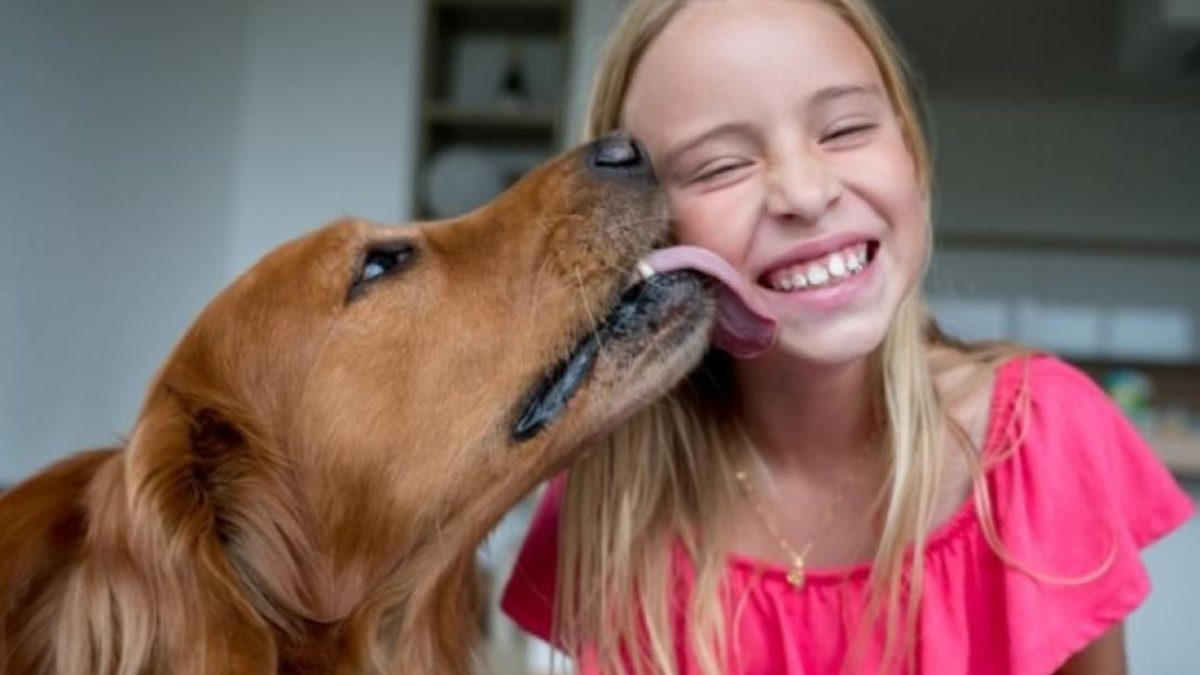 Dievča sa smeje, zatiaľ čo ho olizuje pes zlatého retrívera vo veselej chvíli plnej radosti.