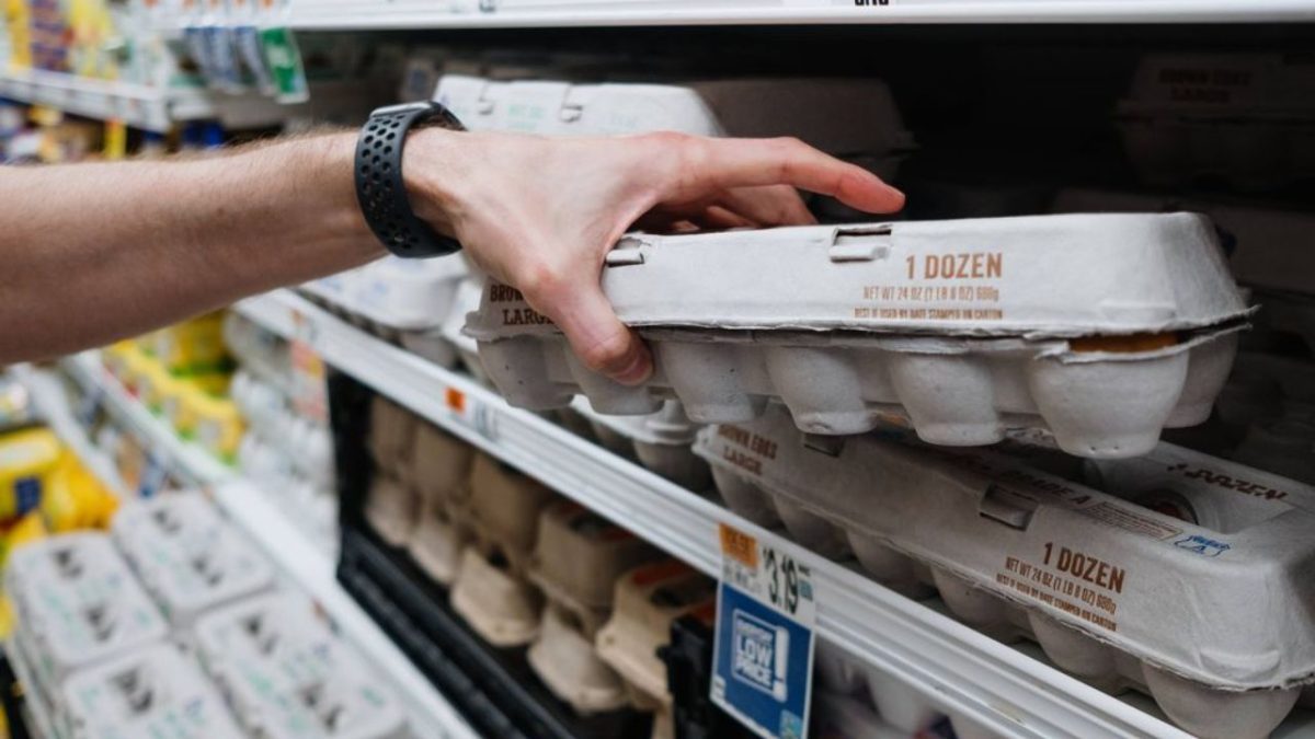 Ruka s čiernym náramkom vyberá balenie vajec z regálu v supermarkete.