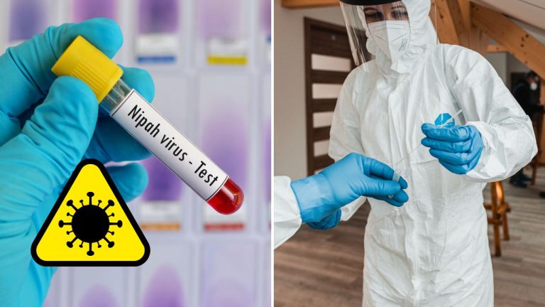 Nebezpečný vírus znepokojuje Áziu. Čo je Nipah a prečo sa ho odborníci obávajú