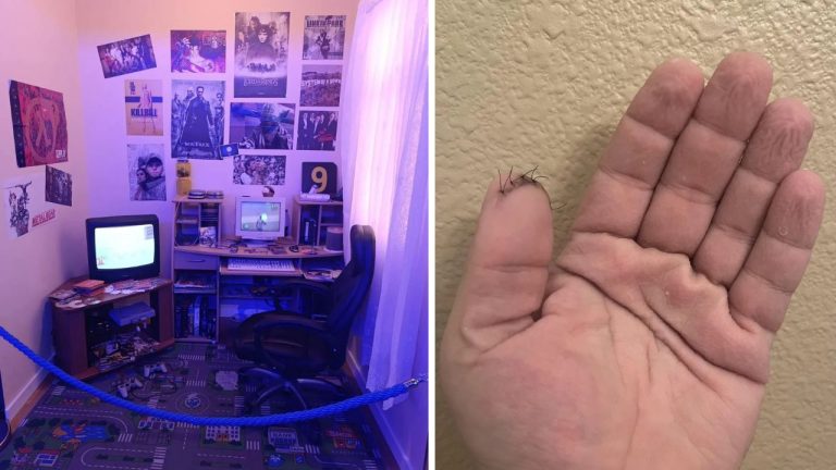 10 náhodných zaujímavých fotografií z internetu #223: Zvieracie chodníky alebo obdĺžnikový strom v Seville