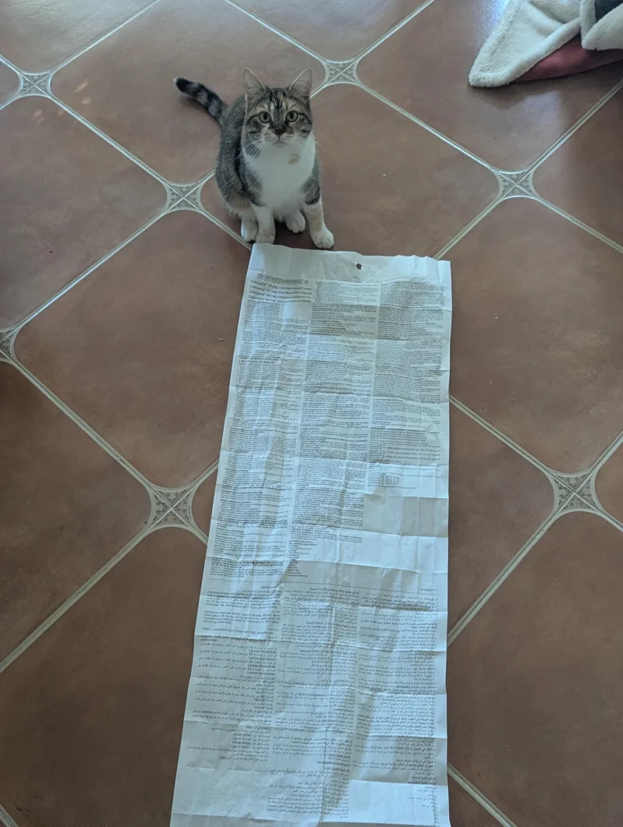 Mačka sediaca na dlažbe vedľa veľkého papierového dokumentu.