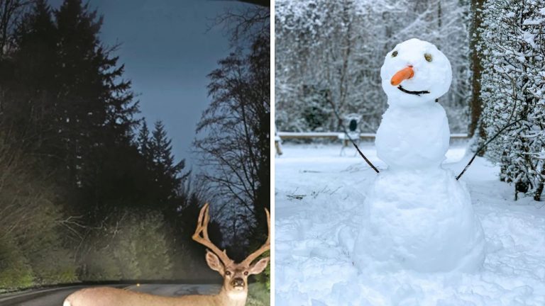 Keď je smrť tragickou záhadou – desivé a nevysvetliteľné príbehy skutočných ľudí!