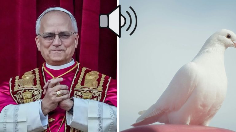 Pápež Lev XIV.: „Najväčším ničiteľom mieru je potrat“! Vyhlásenie, ktoré zarezonovalo celým svetom.
