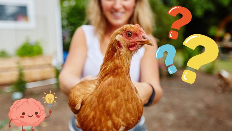 Pomerajte si sily so školákmi – zvládnete kvíz o hospodárskych zvieratách na plný počet?