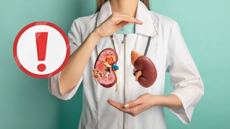 Vedci hlásia prelom v transplantáciách. Vytvorili „univerzálnu“ obličku pre takmer každého