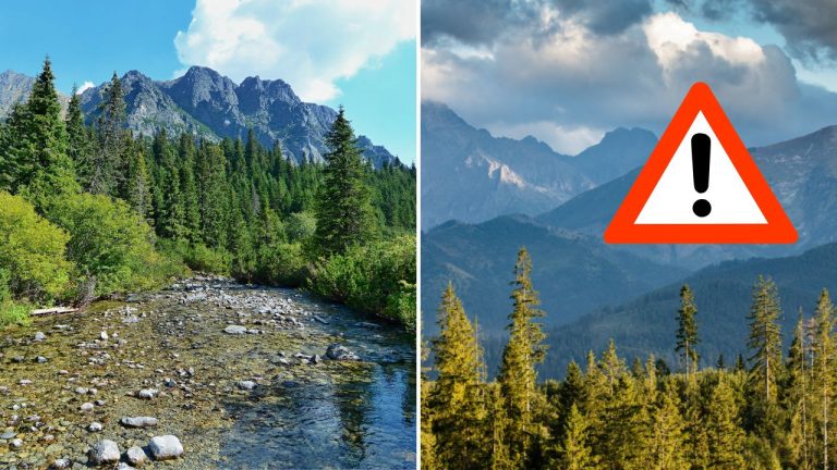 Nová zonácia TANAP-u vyvolala rozruch. Tatry môžu prísť o stovky hektárov lesov, tvrdia ochranári