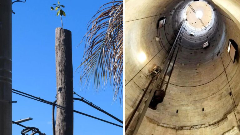 10 náhodných zaujímavých fotografií z internetu #233: Batman za PS5 alebo vnútro šikmej veže v Pise