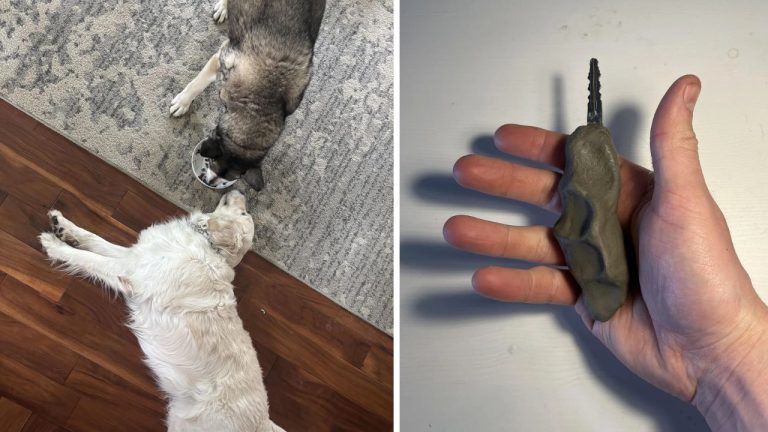 10 náhodných zaujímavých fotografií z internetu #243: Kit Kat bez oblátky alebo pizza s fúzami