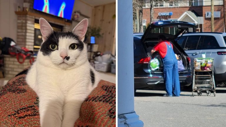 10 náhodných zaujímavých fotografií z internetu #245: Alergia na hennu alebo Super Mario na nákupoch