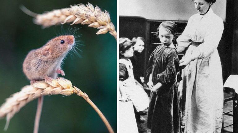 Bizarné úmrtia vo viktoriánskej ére: 10 príbehov, nad ktorými zostáva rozum stáť