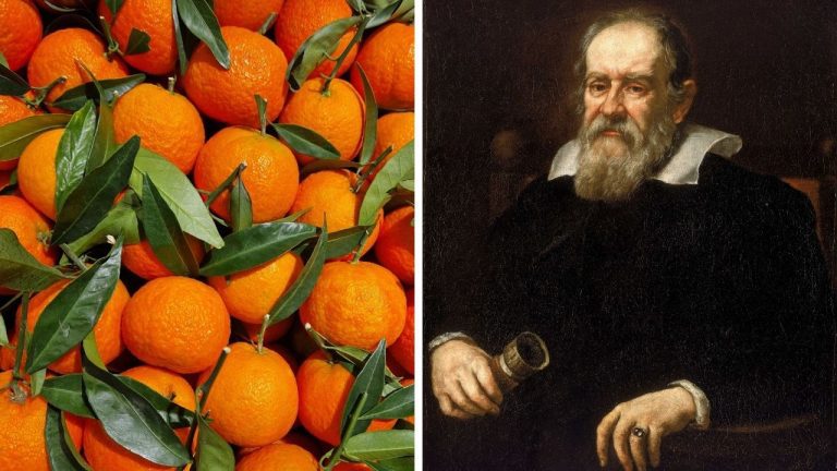 Zaujímavosti ku káve, ktoré ti rozšíria obzory #2370 – Brazília valcuje svet pomarančmi a Galileo bol takmer umelec