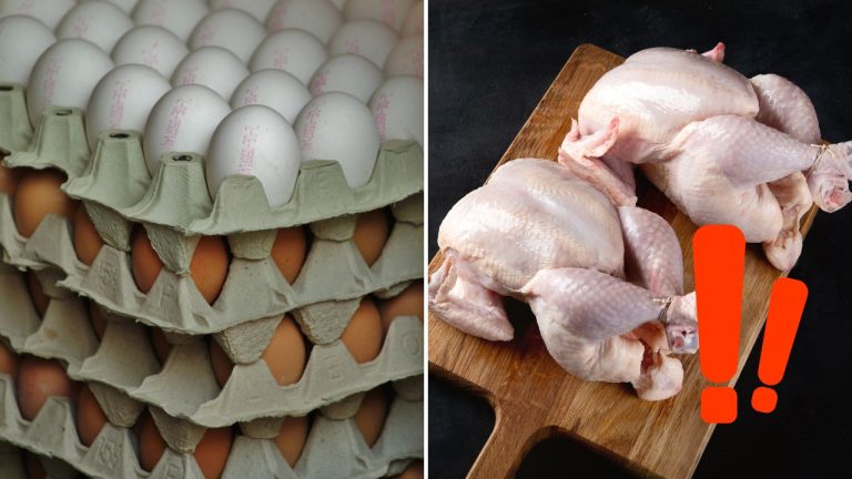 Ďalší zásah do potravín? Po vajciach sa riešia aj kurčatá a ceny môžu rásť