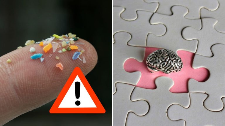 Mikroplasty môžu potichu poškodzovať mozog. Vedci ich spájajú s Alzheimerom aj Parkinsonom