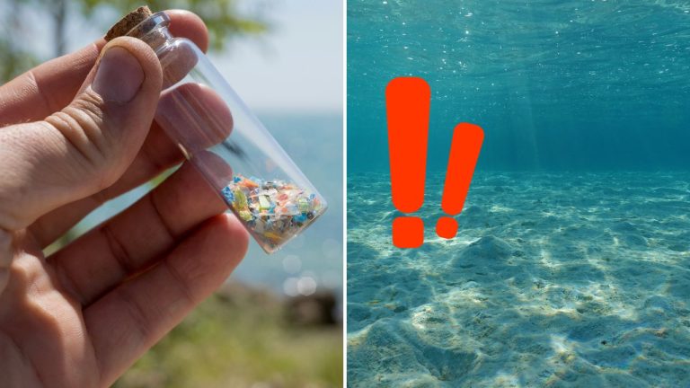 Kam zmizol plast z oceánov? Vedci odhalili znepokojivú pravdu