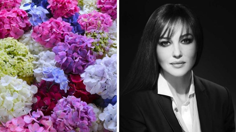 Zaujímavosti ku káve, ktoré ti rozšíria obzory #2383 – kvety, ktoré menia farbu podľa pôdy a Monica Bellucci začala už ako tínedžerka