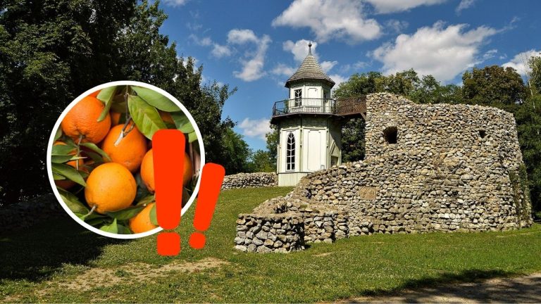 Pomaranče zo Slovenska pre panovníkov? Dubnický park má fascinujúcu históriu