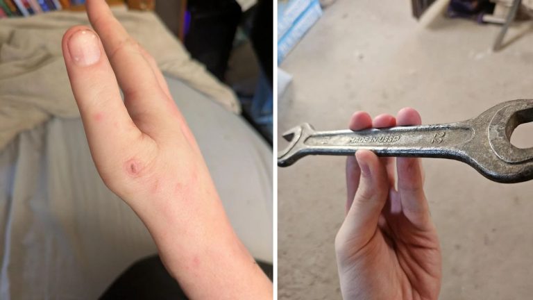 10 náhodných zaujímavých fotografií z internetu #249: Naozaj dlhý nárazník alebo chvost na dve časti