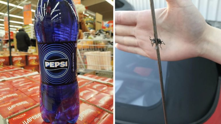 10 náhodných zaujímavých fotografií z internetu #241: Modrá Pepsi alebo mucha na polovicu