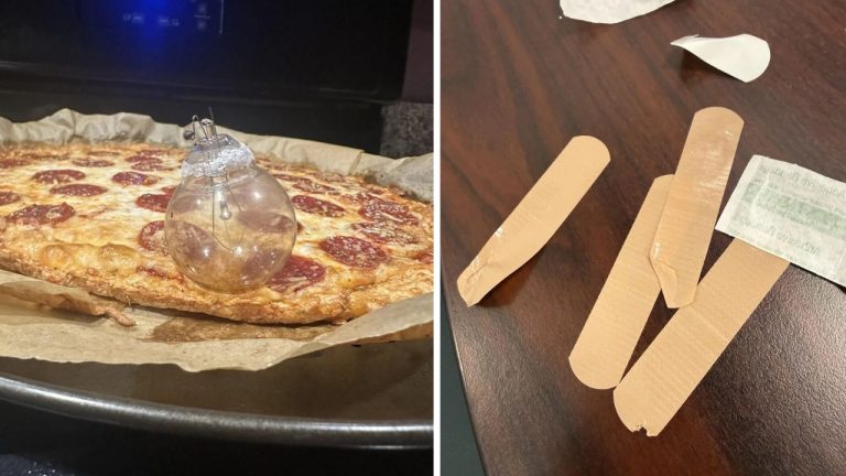 10 náhodných zaujímavých fotografií z internetu #248: Levitujúci vták alebo pizza so žiarovkou