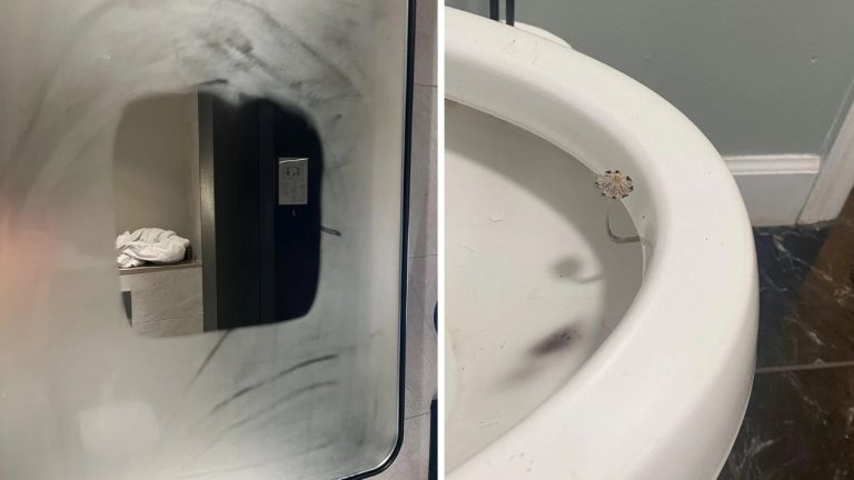 10 náhodných zaujímavých fotografií z internetu #255: Náhodný párok alebo huba na toalete